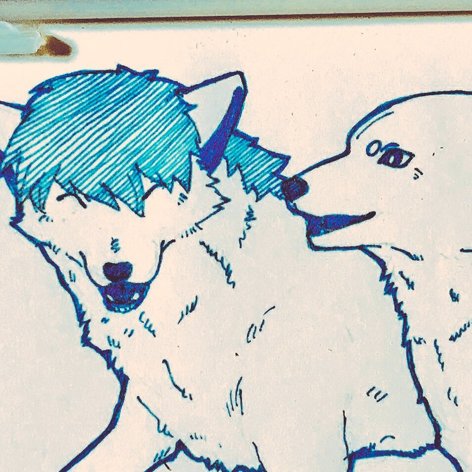 ゴマさんのプロフィール画像
