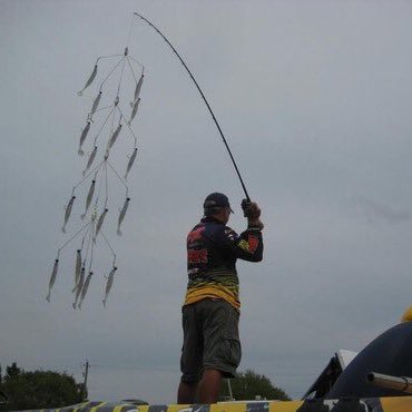 SKTkeneleven's profile picture. 兵庫 バス釣り垢/釣果あげていくのでフォローお願いします！