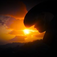 Cactus (@jhainley1) 's Twitter Profile Photo Cactus (@jhainley1) 's Twitter Profile Photo