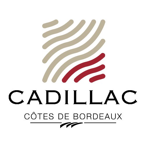 Cadillac Côtes de Bordeaux, l'occasion de découvrir des vins passionnants ! 🍇🍷