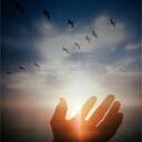 Lee Coomber - @sunshine337 - Twitter