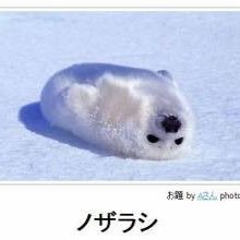 セロ☆913さんのプロフィール画像