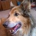Susan Garcia (@sue54241) Twitter profile photo Susan Garcia (@sue54241) Twitter profile photo