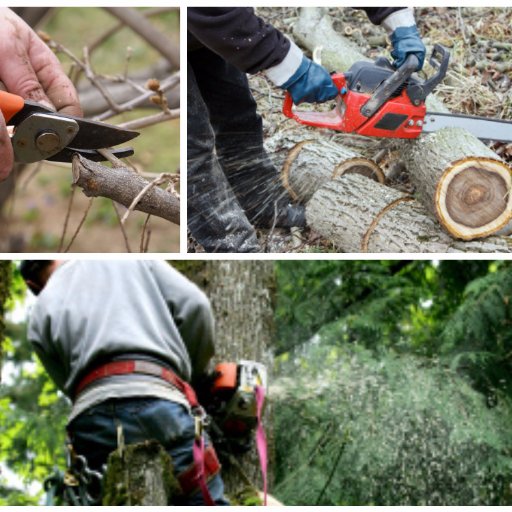 If you're searching for effective Stump Service for commercial and residential properties, make a call to Als Stump
Grinding and Root Clearing in Mt. Pleasant