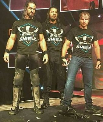 The shield