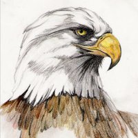 RoyMikalsen (@roymikalsen) 's Twitter Profile