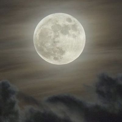 annieduffy0's profile picture. 