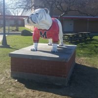 Meadville Area Senior High School (@mashbulldogs) 's Twitter Profile