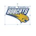 BVHS PE (@bvhspe10) Twitter profile photo BVHS PE (@bvhspe10) Twitter profile photo