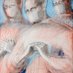 Imperial Surgical Ed (@surgical_edu) Twitter profile photo Imperial Surgical Ed (@surgical_edu) Twitter profile photo