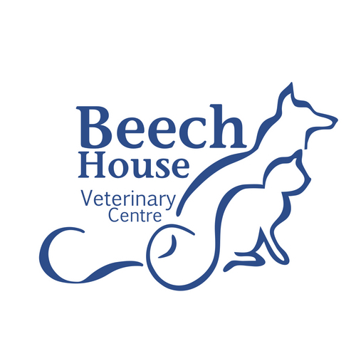 beechhousevets's profile picture. Beech House is a first opinion small animal veterinary practice in Bitterne, Southampton. We have a branch surgery at Coldeast Way, Bridge Road, Park Gate.