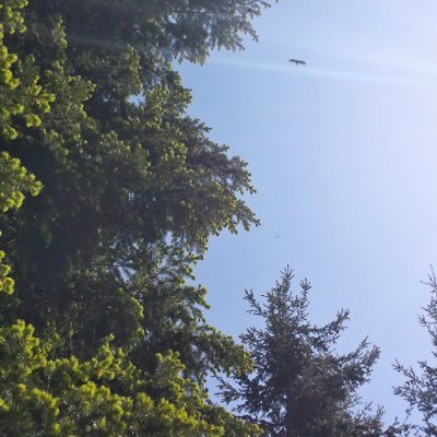 POSITIVITYinPPL's profile picture. just givin thoughts n strokin shots