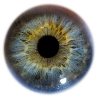 VideoCueGo's profile picture. Writer, filmmaker, theater maker. Against all of my better judgment.