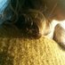 Maya (@estel2l) Twitter profile photo