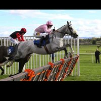 Abbie McCain (@mccain_abbie17) 's Twitter Profile