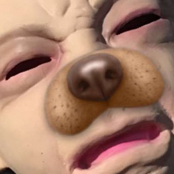 gentleode's profile picture. @blurrrytrees