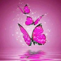 خديجة (@khadija_j17) 's Twitter Profile