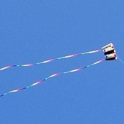 LBoyerNJ's profile picture. Politically  active,  proud liberal gay woman interested in equality, civil rights and justice.