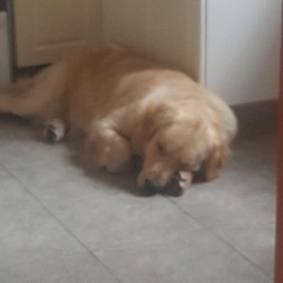 Una persona común. No tolero la estupidez y que le den tanta vuelta a las cosas simples.