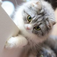 平元英治 Hiramoto Eiji (@eiji20170924) 's Twitter Profile Photo 平元英治 Hiramoto Eiji (@eiji20170924) 's Twitter Profile Photo