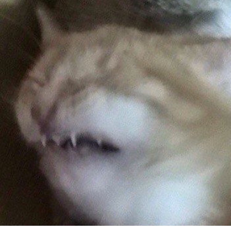 danarathbun3's profile picture. 