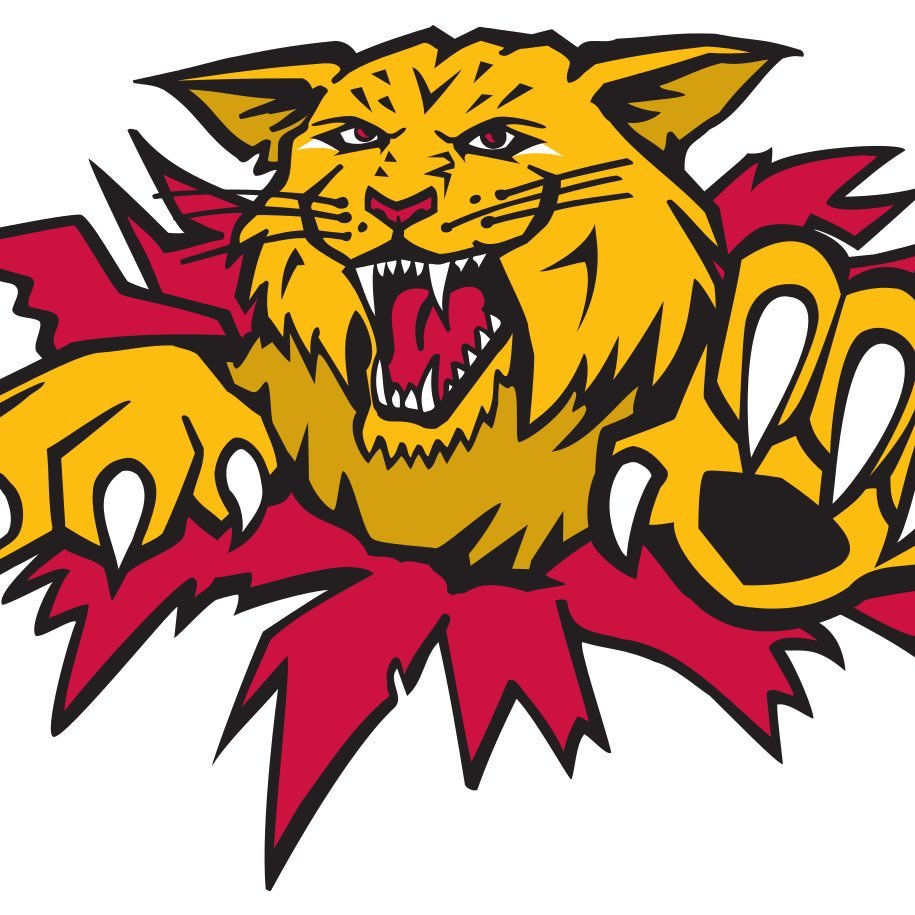 jmuwildcats's profile picture. @LJMUMHC Saturday team 🏑 Div 3 North 1️⃣8️⃣/1️⃣9️⃣ #Wildcats 🦁 Liverpool John Moores Hockey Club