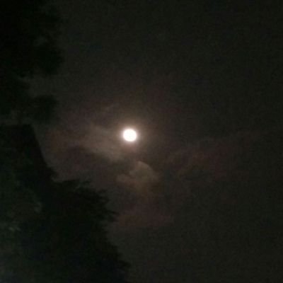 DipikaSharma91's profile picture. 