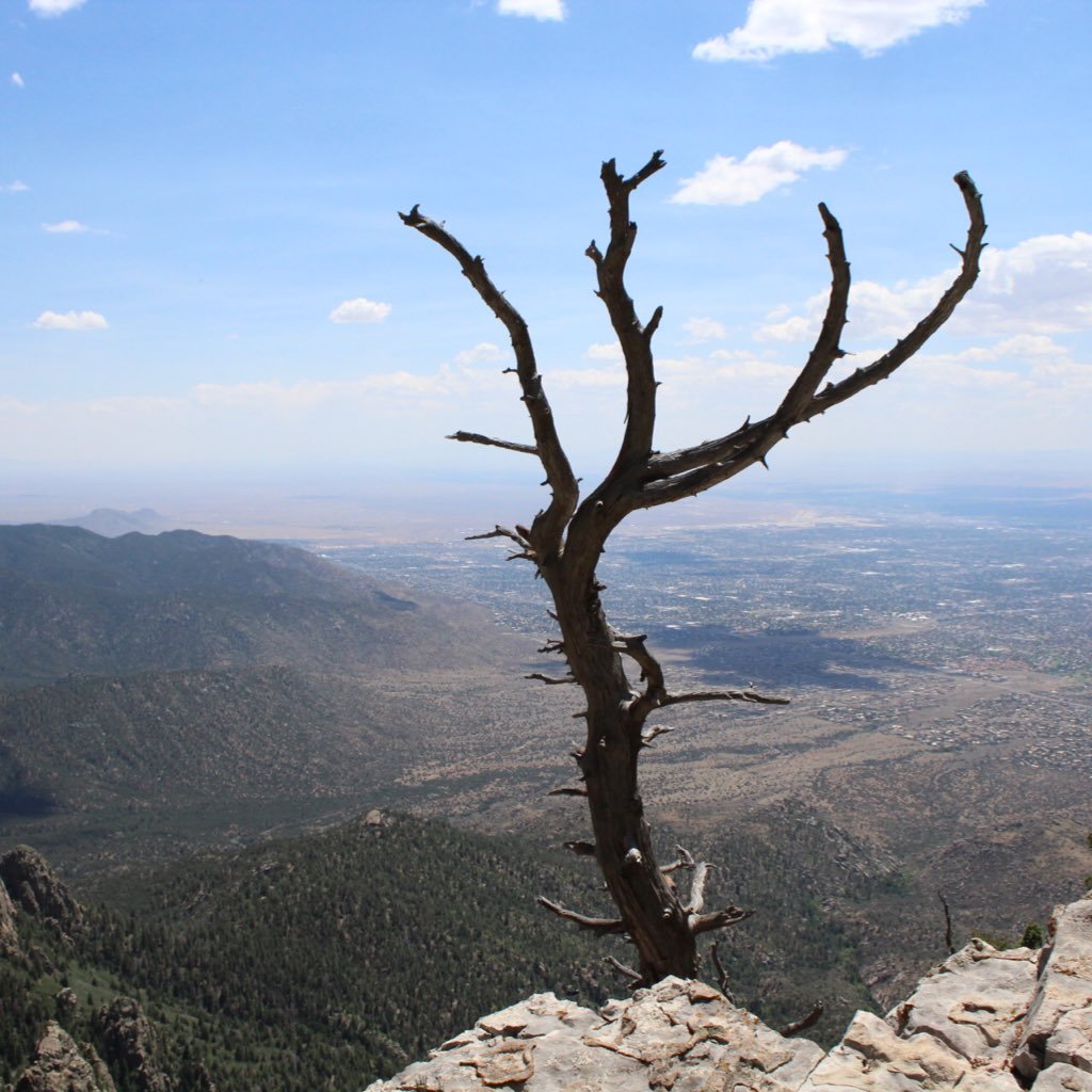 heidi_anne2000's profile picture. 