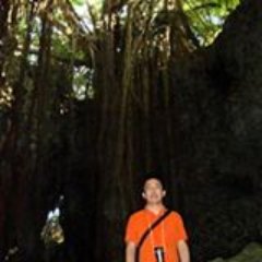 omnidirect's profile picture. mostly for browsing

https://t.co/dtU3WjMNJL