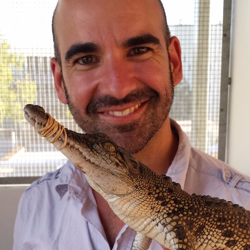comparative biomechanics, physiology and evolution of kangaroos, lizards, frogs and insects. Associate professor University of the Sunshine Coast #usceduau