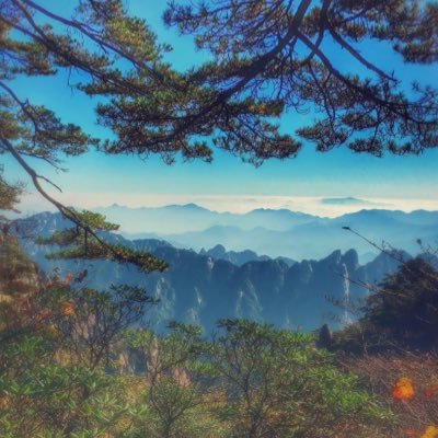 alexwoo28's profile picture. Live and let live