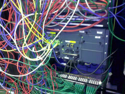 the_web_guru's profile picture. Scientist, Web Guru, IT Geek 🤓