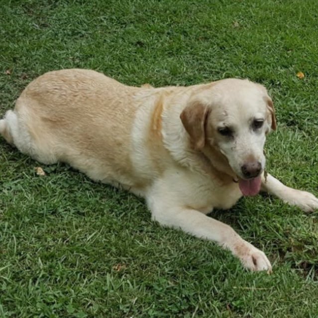 MariaElenaEB's profile picture. Esposa, amiga, hermana, comadre, madrina, tia