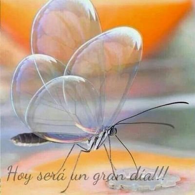 mariposa0181's profile picture. un corazón sanado.....