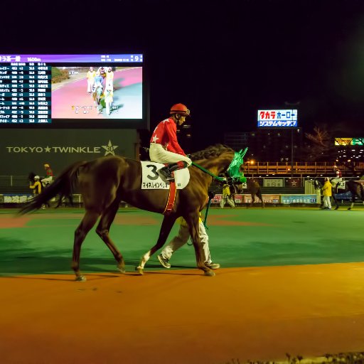 時々編集者、時々ノンフィクションライター。ほとんど酒と競馬の没義道まっしぐら。著書に『歓喜の歌は響くのか』（角川文庫）、『最後の予想屋　吉富隆安』（ビジネス社）。