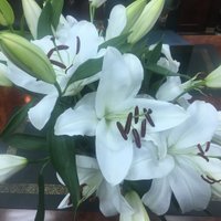 نوال الدرمحي (@2nawala) 's Twitter Profile