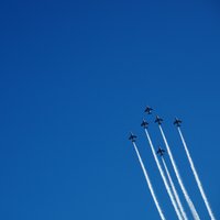 Tech (@alphqm) 's Twitter Profile