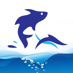 nallameenonline's profile picture. At Nallameen, Our aim is to give you top quality fish at an affordable price. Preordered fish reaches your doorstep in curry cut, fully cleaned right away.