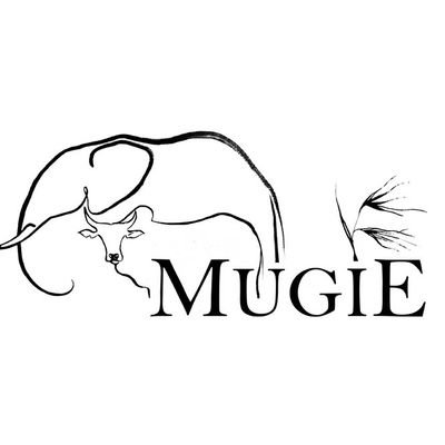 Mugie is a model of growth in a vibrant rural community. Follow us to see how we create harmony between humanity and habitat #wildlife #kenya #conservation