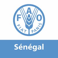 FAO au Sénégal (@faosenegal) 's Twitter Profile Photo FAO au Sénégal (@faosenegal) 's Twitter Profile Photo