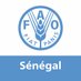 FAO au Sénégal (@FAOSenegal) Twitter profile photo