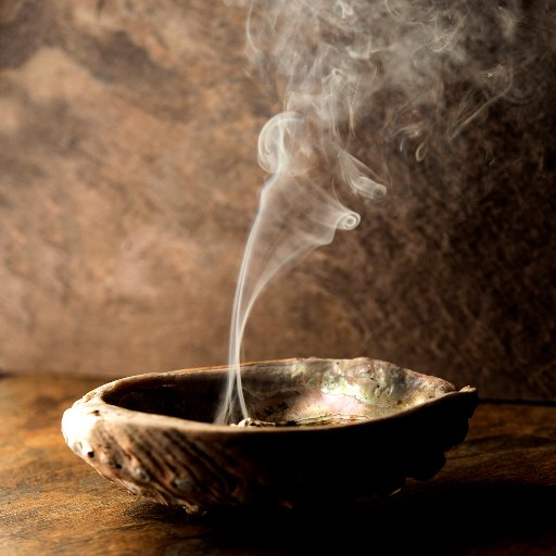 SBVisitorCenter's profile picture. 