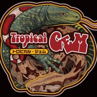 トロピカル・ジェム 𝙉𝙚𝙭𝙩 ︎ ⇝東レプ (@tropicalgemgem) 's Twitter Profile Photo トロピカル・ジェム 𝙉𝙚𝙭𝙩 ︎ ⇝東レプ (@tropicalgemgem) 's Twitter Profile Photo