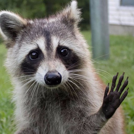 Miguelonsio10's profile picture. 