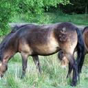 Daniel Squire - @yermandan - Twitter