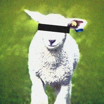 learning_sheep's profile picture. 