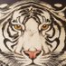 Diley Middle (@dms_proud) Twitter profile photo Diley Middle (@dms_proud) Twitter profile photo