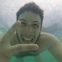 Federico Zarlenga (@fedezarlenga) 's Twitter Profile