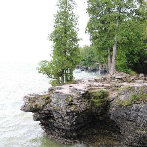 indigoblue115's profile picture. 