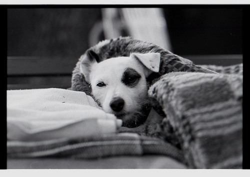 fabriziogaeta's profile picture. Fotografia con pellicola b/n , Polaroid , antiche procedure di stampa , videogiochi